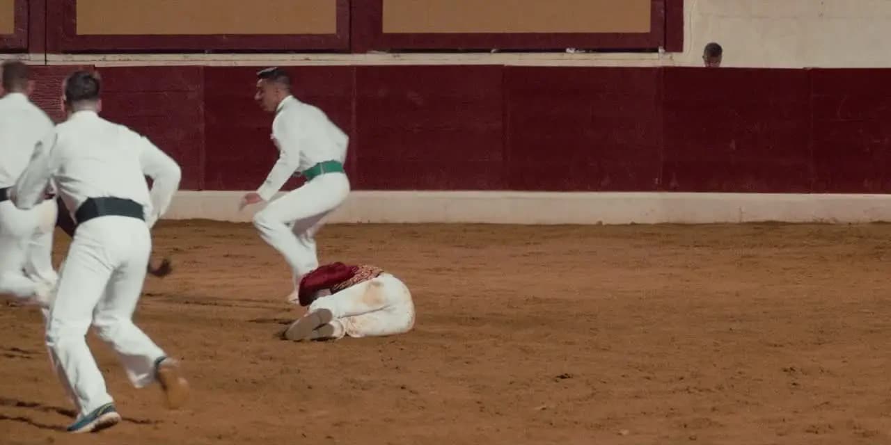 Человек играющий: спорт в мире