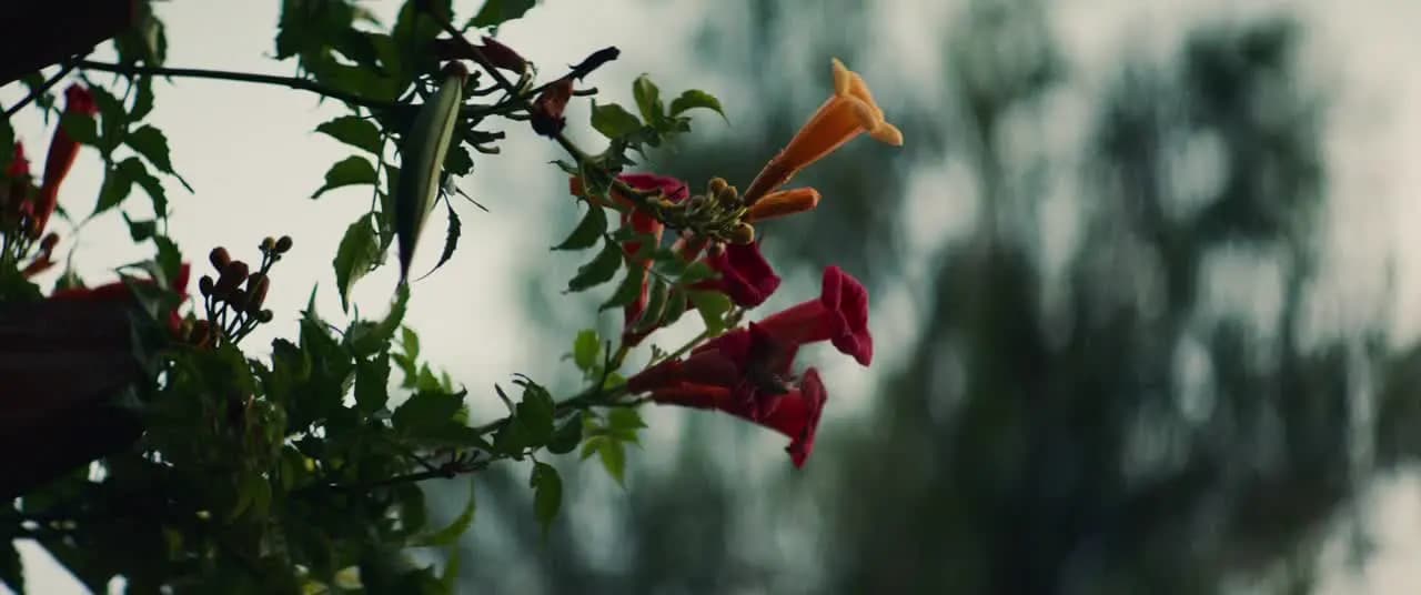 Летняя пора / Летний отдых
