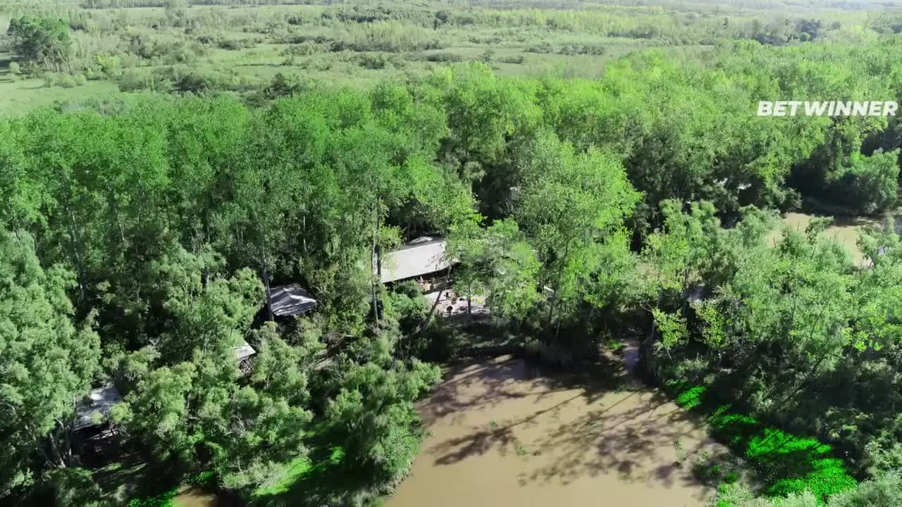 Летние секреты