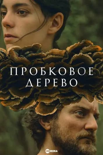 Пробковое дерево / Суро