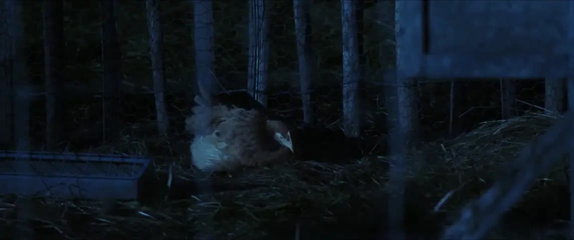 Неспокойной ночи
