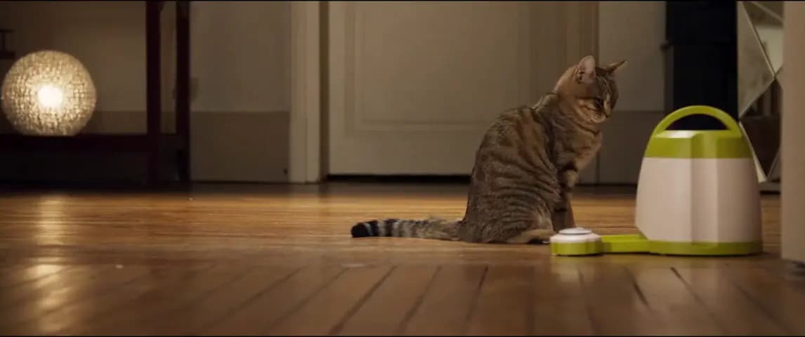 Мой котик и я