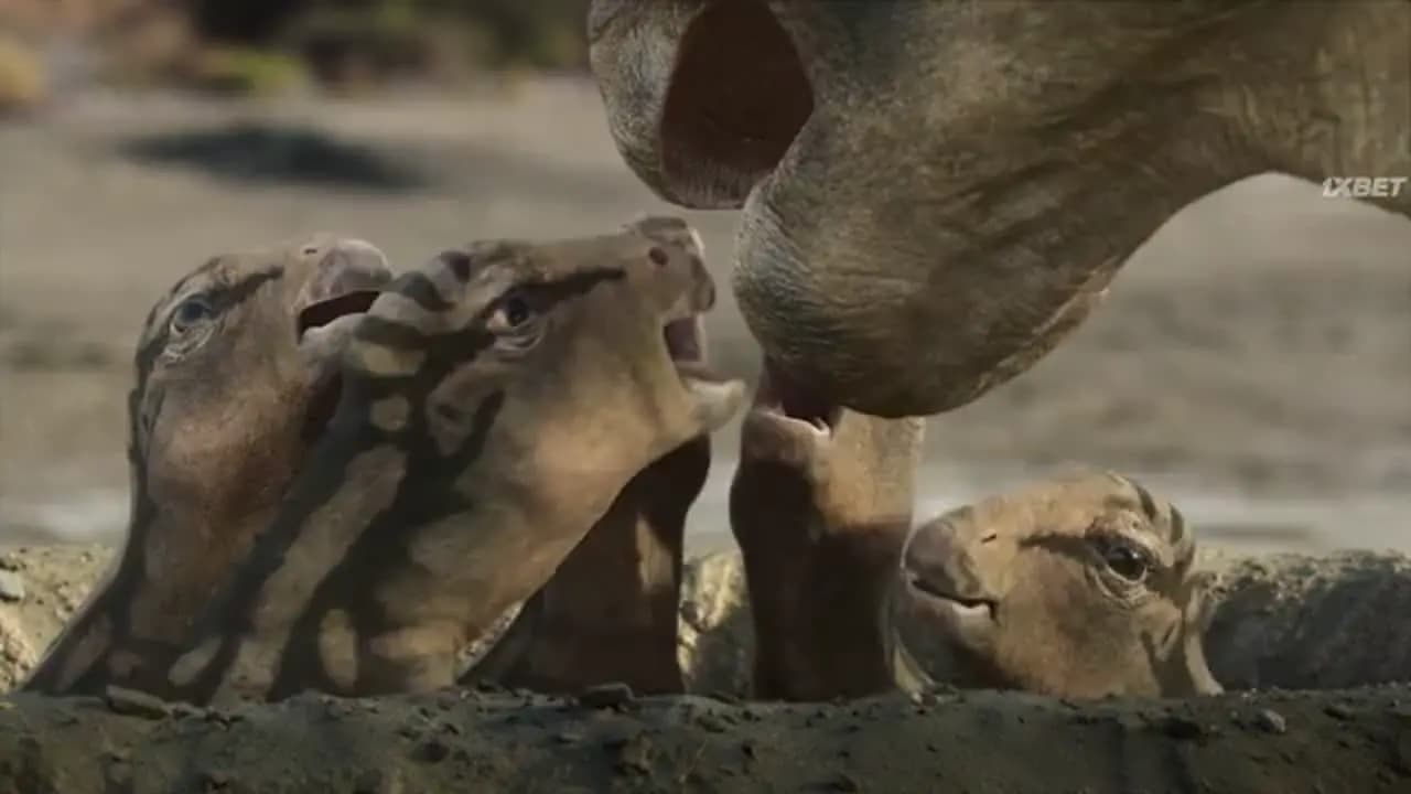 Жизнь на нашей планете
