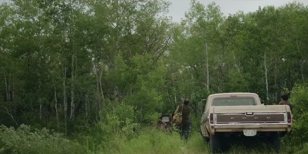 Пташка