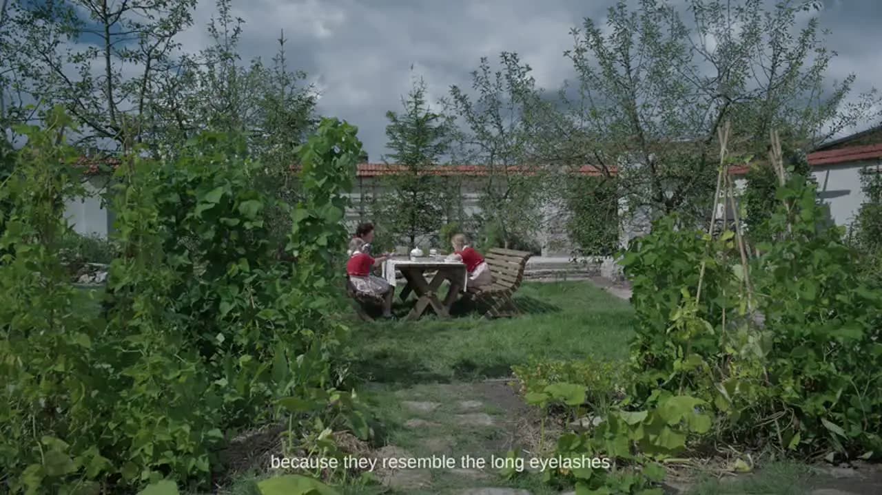 Зона интересов