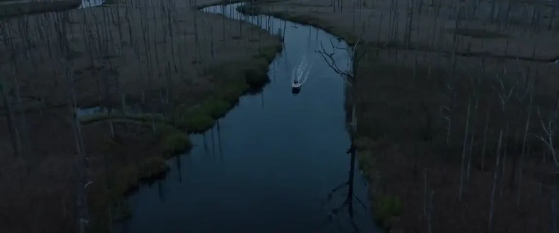 Вендетта