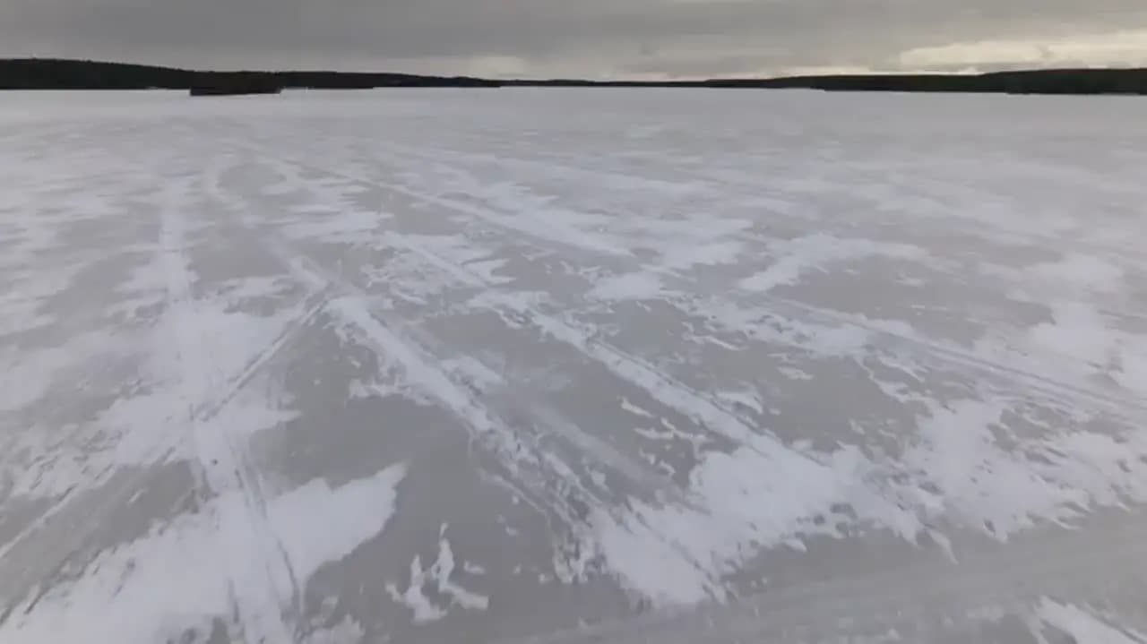 Юджин Леви: Путешественник поневоле