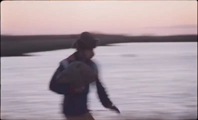 Химера