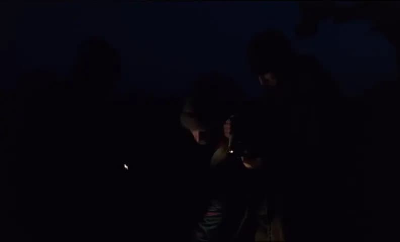 Химера