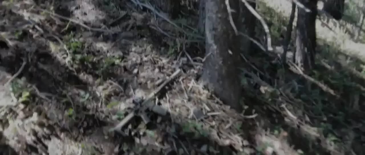 Боевой конь