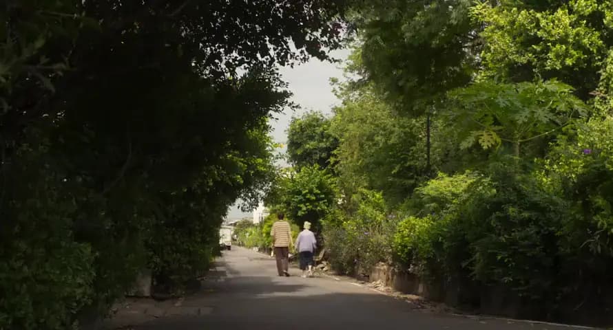 Бабушка на миллион