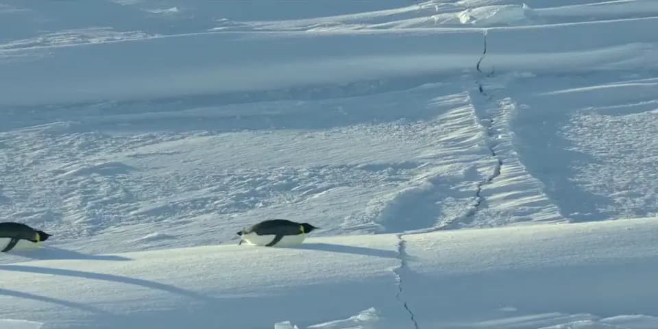 Наши океаны