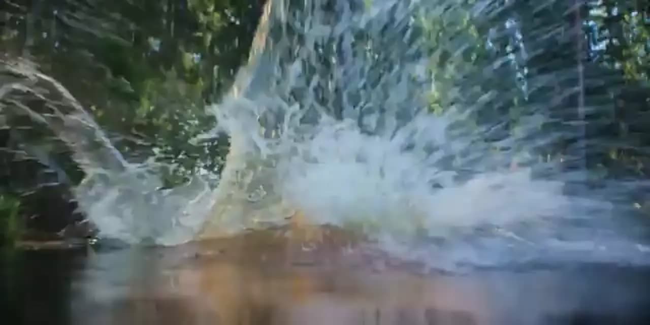 Рони, дочь разбойника