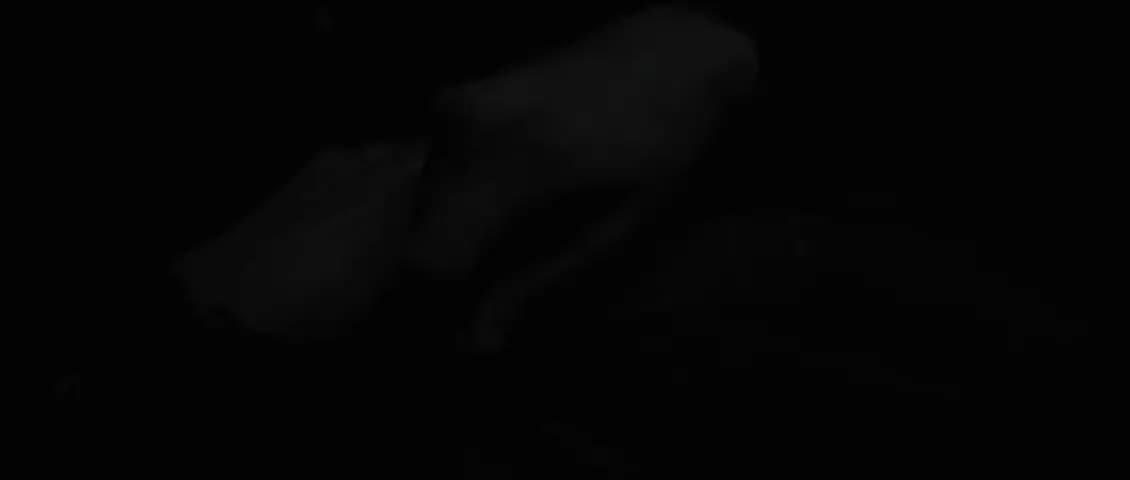 Судная ночь в Аркадии