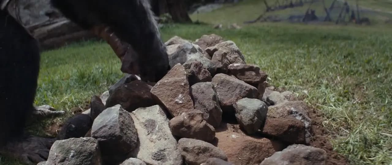 Планета обезьян: Новое царство