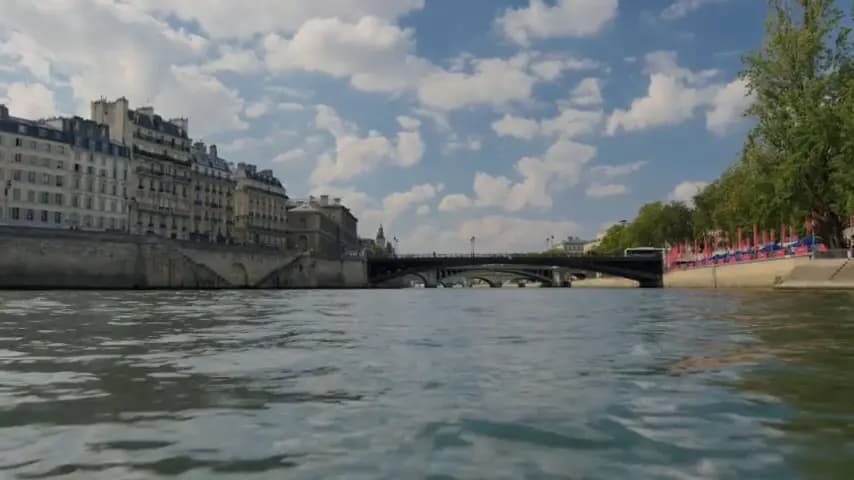 Акулы в Париже