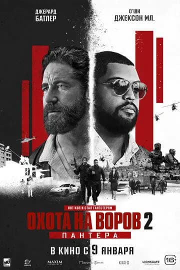 Охота на воров