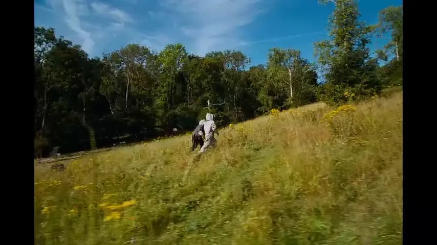 Бугония