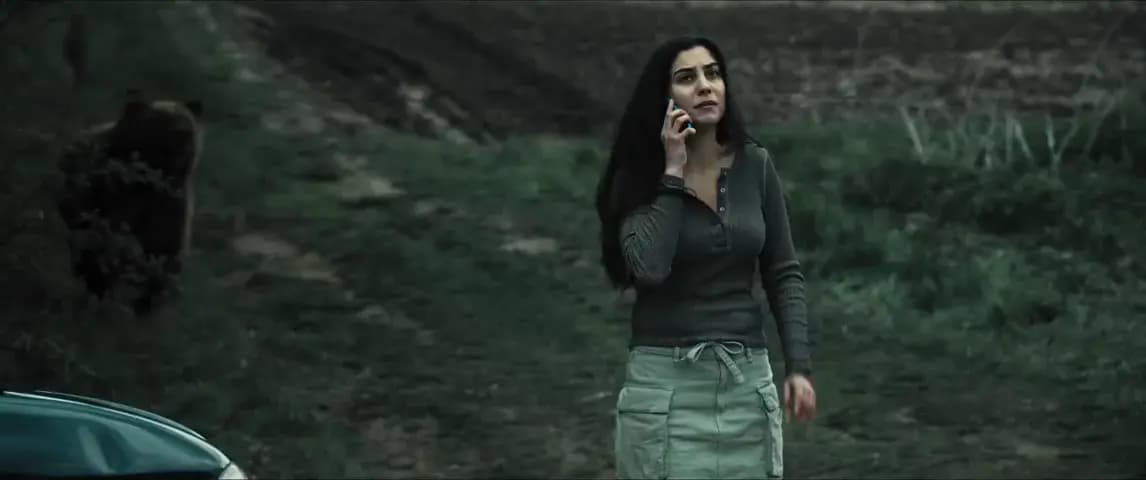 Гризли