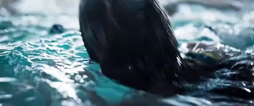 Альфа