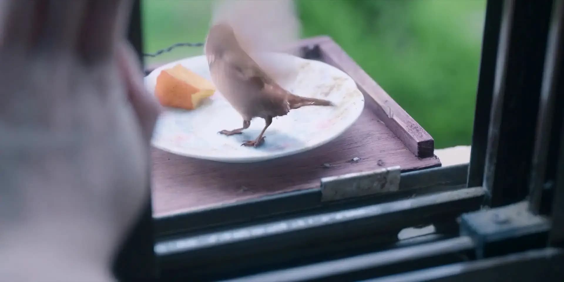 Когда жизнь даёт тебе мандарины