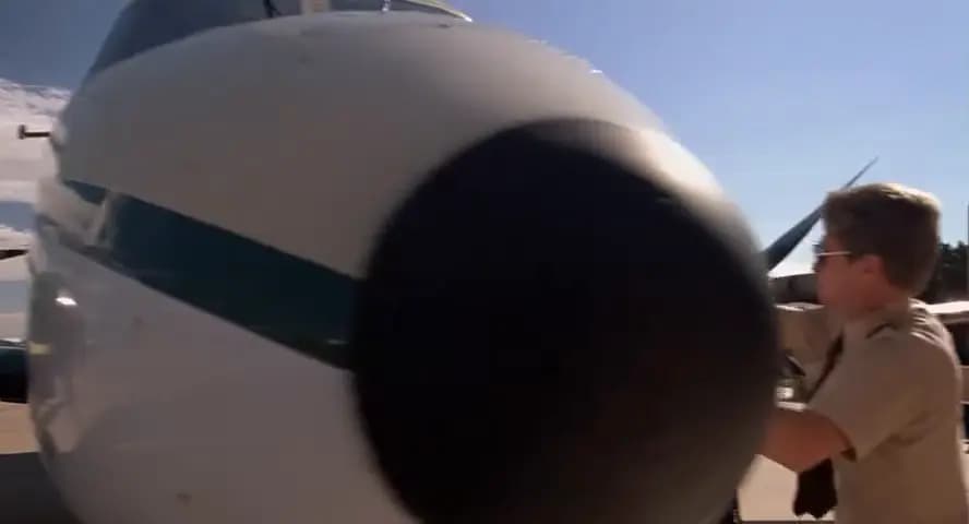 Близнецы