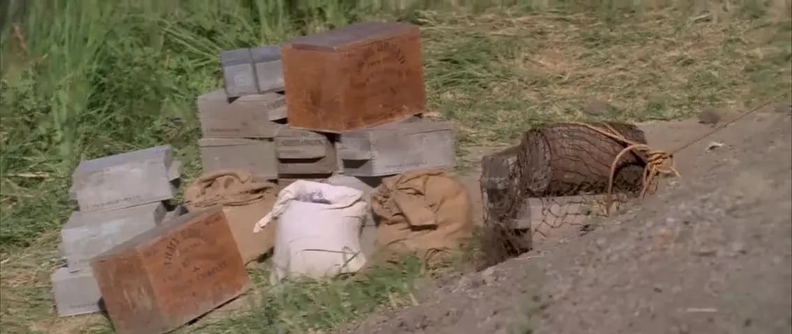 Танцующий с волками