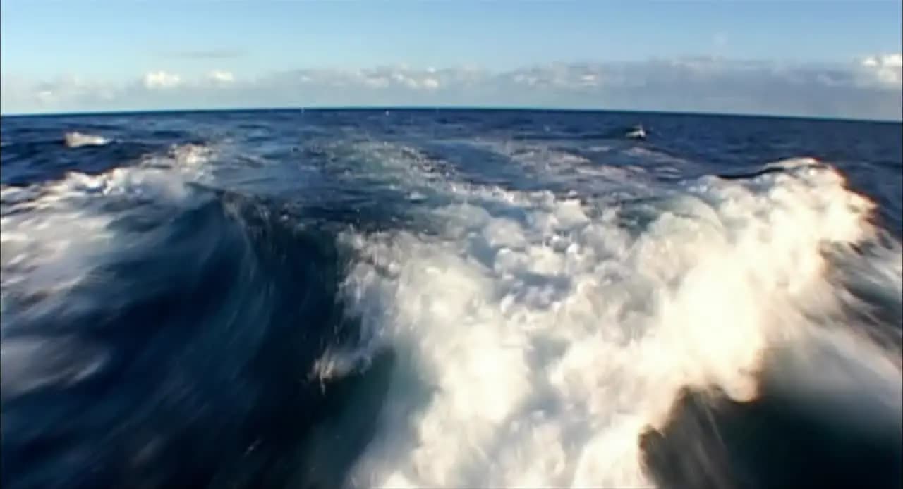 Открытое море