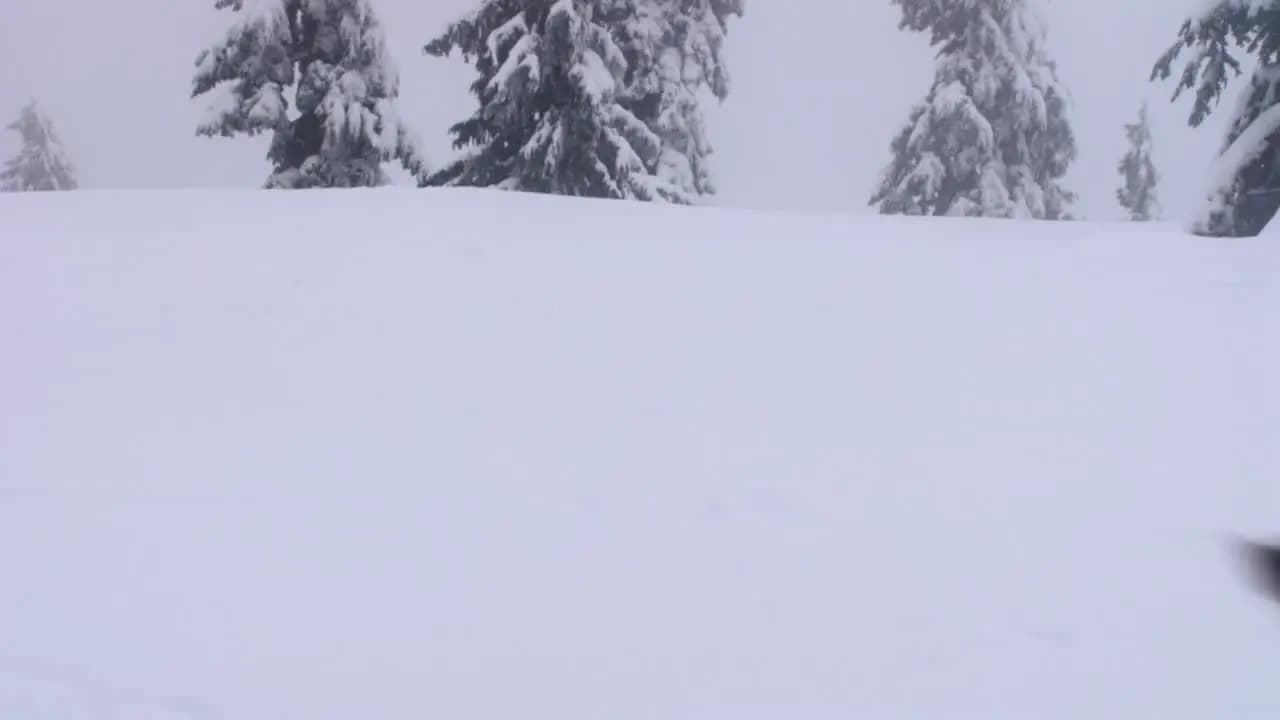 Снежная пятерка