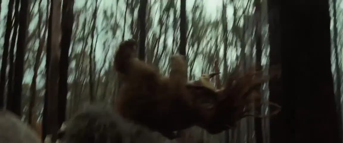 Там, где живут чудовища