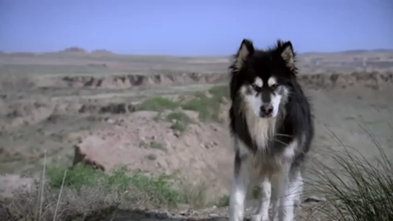Баллада о Луне и звёздах