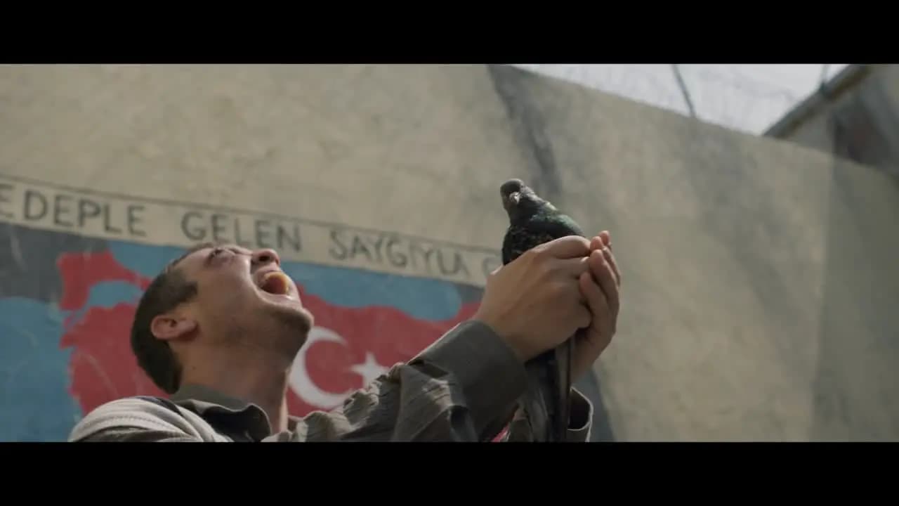 Чудо в камере №7
