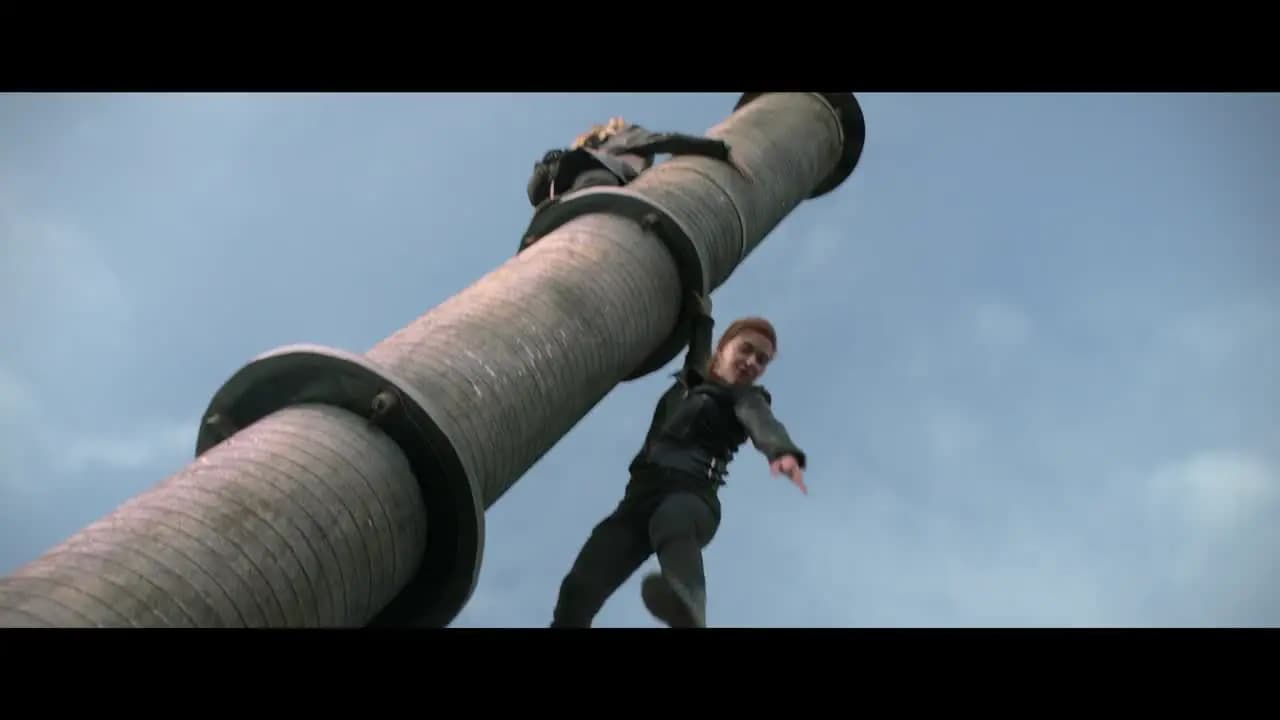 Чёрная Вдова