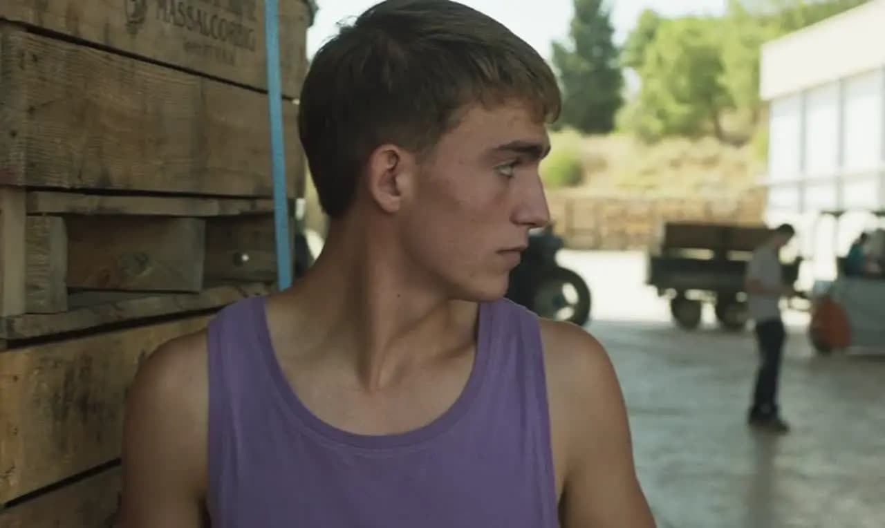 Земля Алькаррас