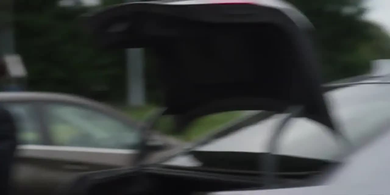 В завязке