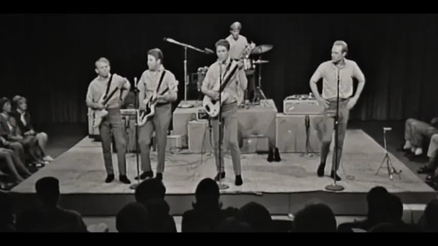 The Beach Boys